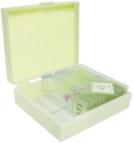 VSE117 Prepared Slide Set – Water Life (Set of 12)