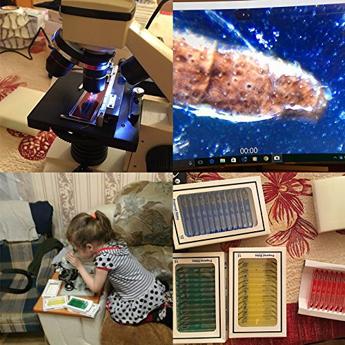 Jiusion 60Pcs Prepared Microscope Slides Specimen Set for Stereo Microscope | Safe Plastic Biological Samples of Animals, Insects, Plants & Flowers for Kids, Students Enlighten Education