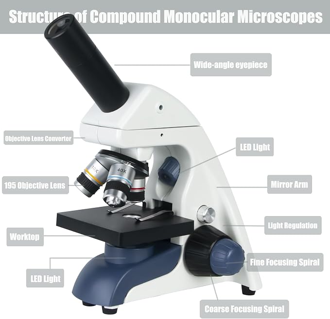 Professional Compound Monocular Microscopes for Adults, Kids 8-12 & Students | 40X-2000X Magnification Lab & Home Microscope with Phone Holder, Complete Slides Set