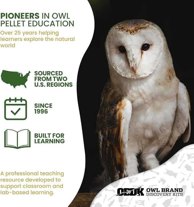 Barn Owl Pellets for Dissection for Classrooms, Medium 10-Pack Kit by OBDK | Forceps, picks and instructor guide included, life science and ecology, bone sorting chart, hands-on lab activity