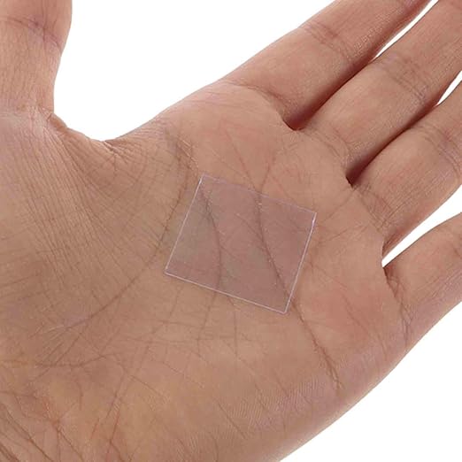 Luxshiny 100Pcs Clear Optical Slides 0.86 X 0.86 Inch Disposable Plastic Blank Microscope Slide for Lab Science Education Urine Tests Plants Flowers Specimens