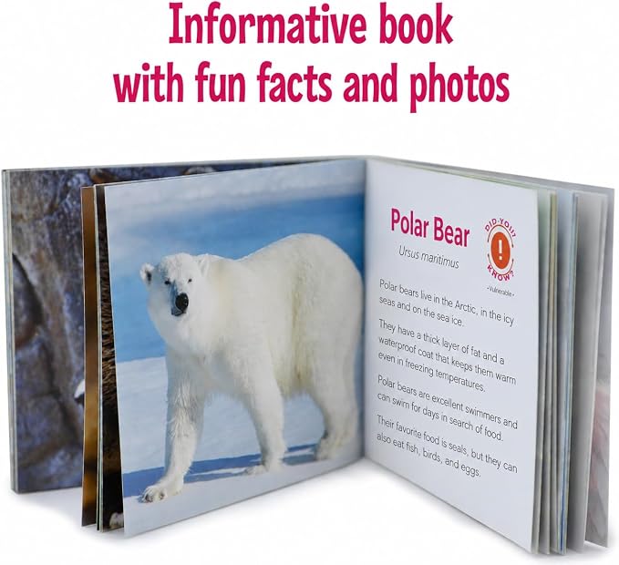 Menique Wild Animals Memory Matching Game – Spanish Edition – 80 Cards (40 Pairs) with Real Photos – Educational Game in Spanish for Kids and Adults – Includes Booklet