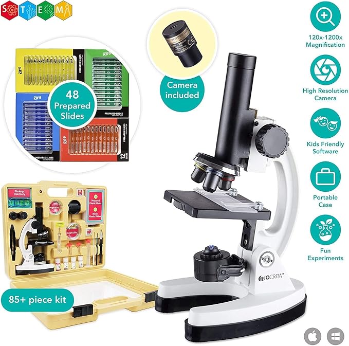 AmScope M40-4P12X1 Premium 85+ Piece Microscope, Color Camera | USB 2.0 Connectivity Professionally Stained & Labeled Cedar Wood Oil Preserved