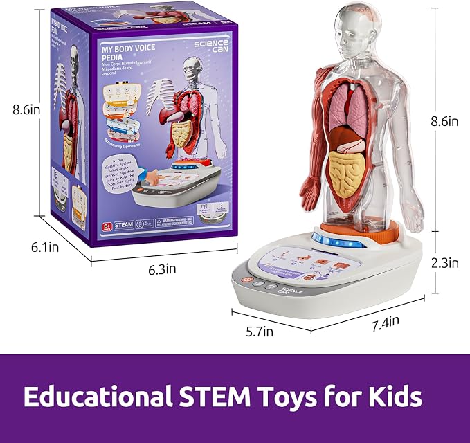 Science Can Human Body Model for Kids, Interactive Anatomy Learning Toys | 11" Human Anatomy Model, Knowledge/Quiz Mode, 15pcs Removable Parts, Learning Booklet, Educational Toy, Gifts for Kids Age 6+