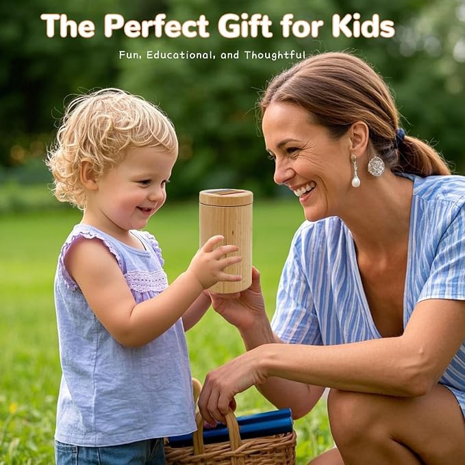 Montessori Shape & Color Sorting Montessori Toys for Toddlers 3, Wooden Fine Motor Skills Sensory Toy Preschool Learning Toys Travel Gift for Boys and Girls (Wooden Set)