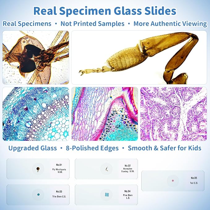 Kids Digital Microscope Science Gift: Complete STEM Toy Kit for Ages 4-12 | 32GB Card for Photos & Video / Custom EVA Case / Real Glass Slides / Upgraded 3mm Slide Slot / 2.5H Rechargeable Use