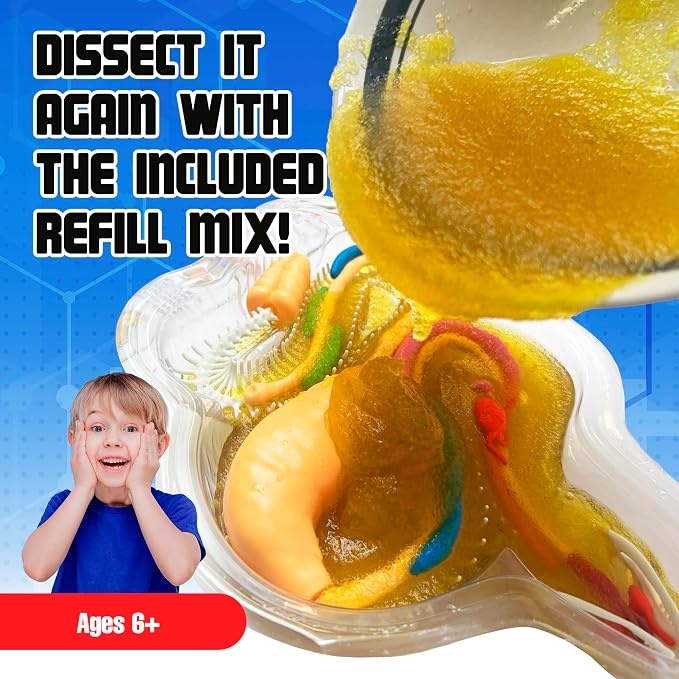 Dissect-It, Rattlesnake Dissection Kit, STEM Toys for Kids, Ages 6+ | Rattlesnake Anatomy, Examine Realistic Organs & Complete Skeleton, Then Rebuild with 2 Gel Refill Packs for STEM Learning