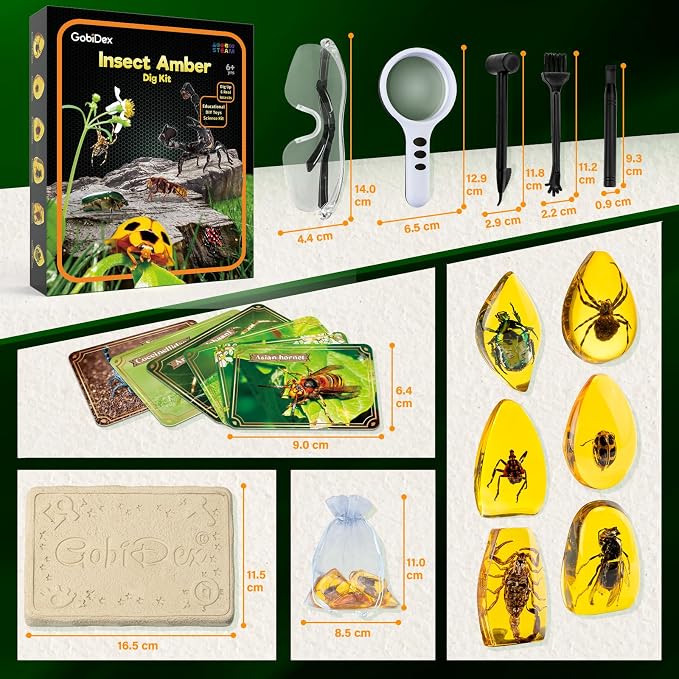 GobiDex Amber Dig Kit for Kids Ages 6+, Excavate 6 Insects Specimens | STEM Geographic Educational Bugs Toys, Excavation Toys for Fun Bugs Party Favors, Science Kits for Kids Age 6-8 8-12