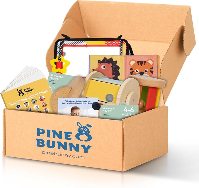 Pine Bunny Montessori Wooden 9-in-1 Toy Set for 4+ Months, Silicone Teether, Interlocking Discs, Mirror Toy, Wooden Bell Cylinder, Cloth Book, Spinning Drum, Educational Learning Sensory Development
