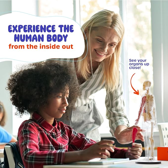 Human Anatomy Squishy Body Model - STEM Science Kits for Kids Ages 4-8 | STEM Toys for 4 5 6 7 8 Year Old Boy Birthday Gift - Learning Educational Toys for Ages 5-7 Boys Gifts - Skeleton Parts