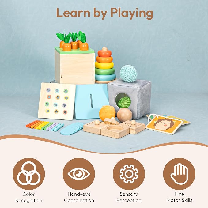 Montessori Toys for 1+ Year Old, Wooden Baby Learning Toys, Object Permanence Box, Color Sorting Sensory Toy, Fine Motor Skills Game, Educational Birthday Toys for Boy Girl 1 2 3 Year Old