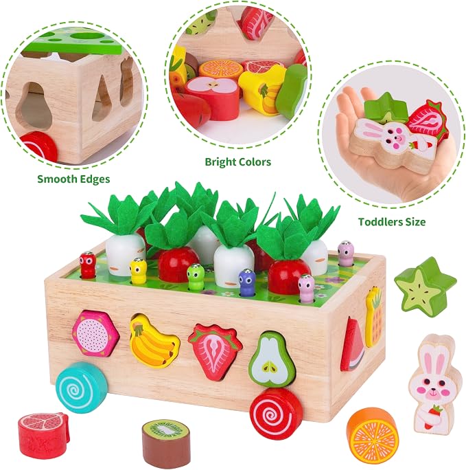 Toddlers Montessori Wooden Educational Toys for Boys Girls Age 1-3 Year Old | Shape Sorting Toys 1st One First Birthday Girl Gifts for Baby Kids 1 2 3, Wood Preschool Learning Fine Motor Skills Game