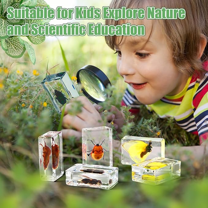 Lineshading 70 Pcs Insect in Resin Specimen with 7 Magnifying Glass Various Bugs Collection Paperweights Bug Kit Preserved in Resin for Kids Scientific Educational Classroom Display Collection
