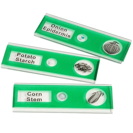Prepared Microscope Slides for Kids – 12 Plastic Vegetable Specimens with Labels & Images – Safe, Durable Biology Science Kit for Students Ages 8+