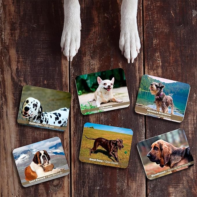 Menique – Dogs Memory Matching Game – Bilingual – 80 Cards (40 Pairs) with Real Photographs – Educational Game for Kids and Adults