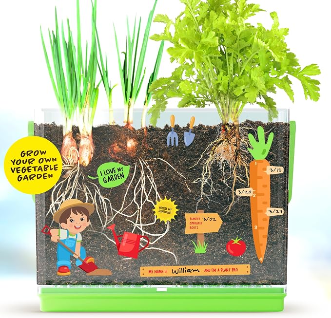Root Viewer Kit for Kids - Grow Your Own Plant for Boys & Girls Gifts | Birthday Gifts for Boy, Girl 4, 5, 6, 7, 8, Year Old - Science STEM Toy & Craft Growing Kits for Ages 4-8, 6-8 Years