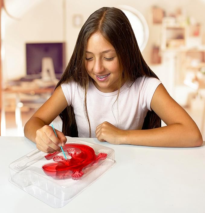 Dissect-It Kit for Kids, Simulated Synthetic Lab Dissection Toy, Salamander STEM Toys for Animal Science, Biology, and Anatomy | Salamander Anatomy, Examine Realistic Organs & Complete Skeleton, Then Rebuild with 2 Gel Refill Packs for STEM Learning