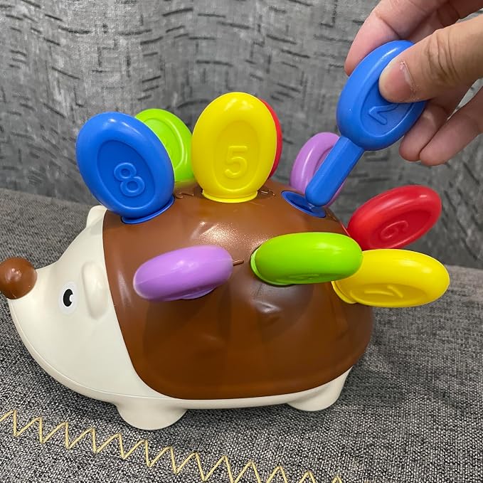 Educational toys for 1 Year Old, Hedgehog toys - Toddler Learning Toys, Color recognition toys, Fine Motor and Sensory Toys for Kids 18+ Months, Car travel toys, Children's birthday gifts, Christmas.