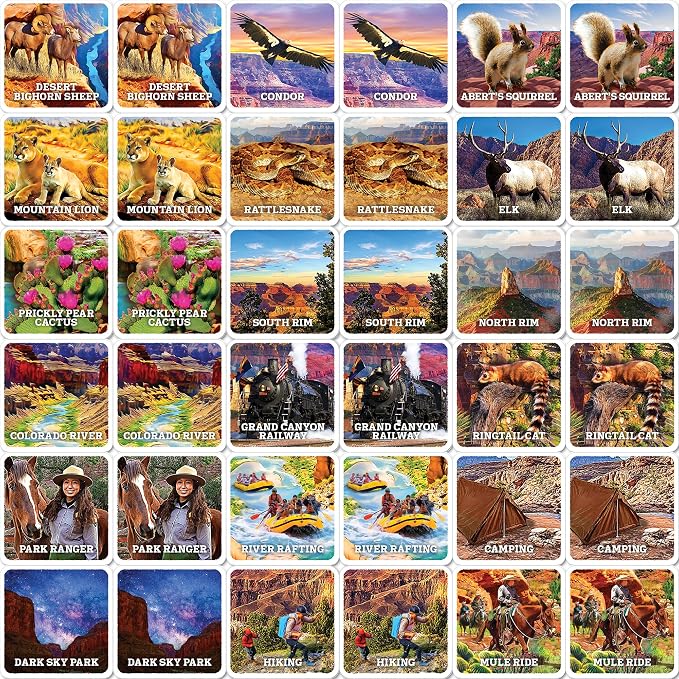 MasterPieces Officially Licensed National Parks Jr. Ranger Picture Matching Card Game for Kids and Families