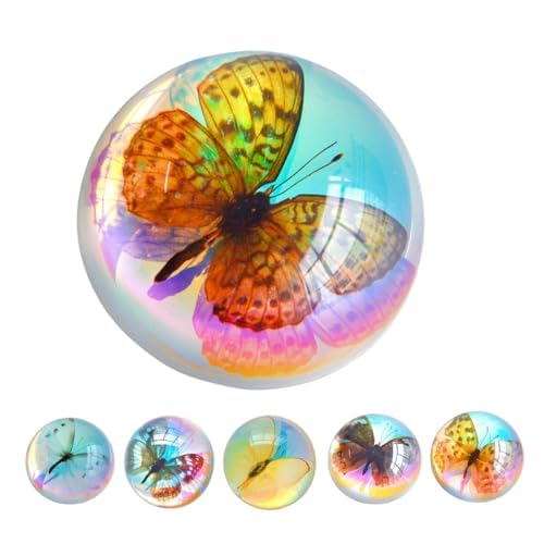 Real Butterfly Specimen in Resin,Insect Specimens for Education | Real resin butterfly & insect specimens. Great for education, biology study, insect lovers.