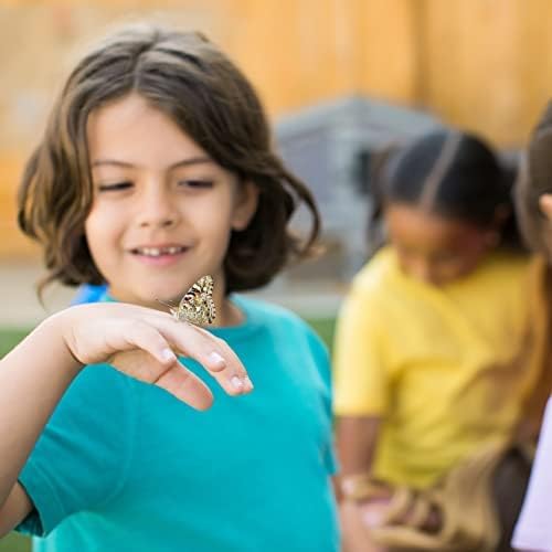 Insect Lore Raise and Release Butterfly Garden Kit – Caterpillar Habitat with redeemable Voucher – STEM-accredited Butterfly Growing Kit for Kids, Classrooms, and Homeschool Learning (Pack of 12)