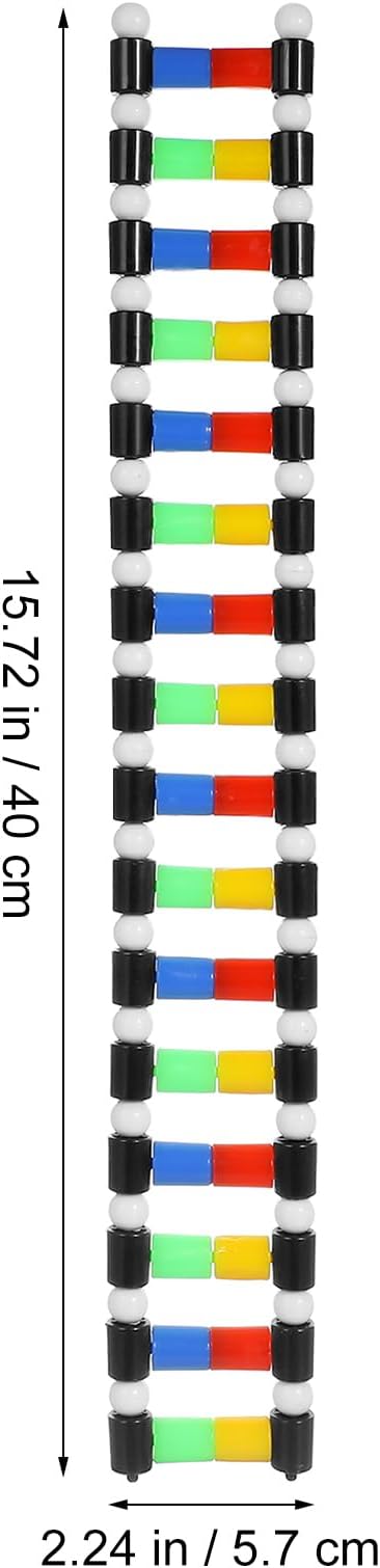 iplusmile DNA Model Kit Double Helix Structure, 3D Science Teaching Instrument for Biology Class, Genetics Learning Educational Toy for Students Kids Assembly Display