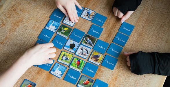 Masterpieces Officially Licensed Audubon Picture Matching Card Game for Kids and Families