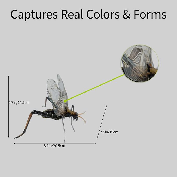 3D Acrylic Insect Puzzle DIY Bug Model Kit Animal STEM Gift | Building Kits Crafts Figurine Sculpture Nature Decoration Educational Display Toys for Kids Teens and Adults (Bell Cricket)