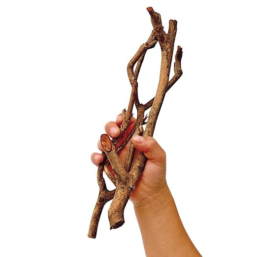 Branches, Excellerations Loose Parts, Branches for Sorting and Counting, upcycled Materials, Educational Toys for Kids, Natural Branch cuttings, Sticks | Ages 3+, PreK+, Upcycled Materials, Educationals for Kids, Natural Branch Cuttings, Sticks