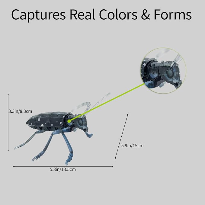 3D Acrylic Insect Puzzle DIY Bug Model Kit Animal STEM Gift | Building Kits Craft Figurine Sculpture Nature Decoration Educational Display Toys for Kids Teens and Adults (Longhorn Beetle)