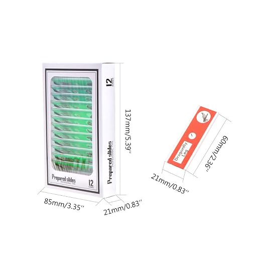 Jiusion 60Pcs Prepared Microscope Slides Specimen Set for Stereo Microscope | Safe Plastic Biological Samples of Animals, Insects, Plants & Flowers for Kids, Students Enlighten Education