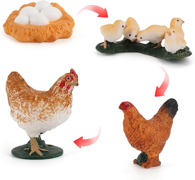 Montessori Life Cycle Animal Figurines Learning & Education Toys, Plastic Insect Life Cycle Toys, Preschool Learning Activities (Hen Goose Duck)