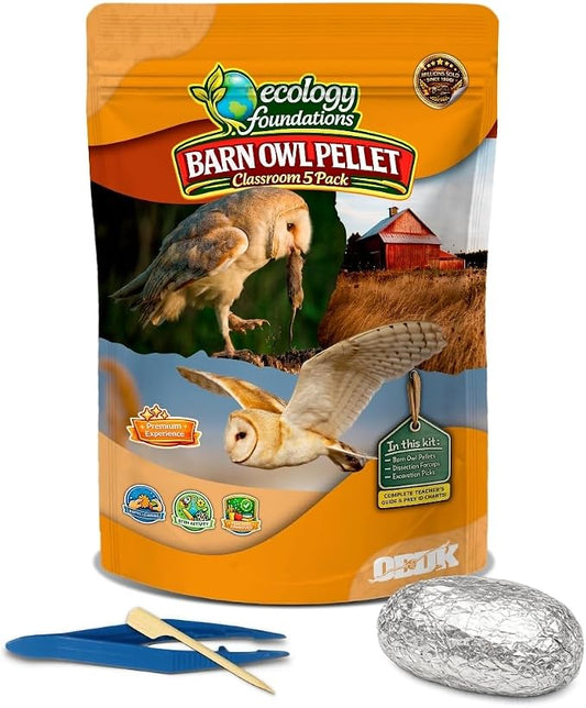 Barn Owl Pellets for Dissection for Classrooms, Large 5-Pack Kit by OBDK | Forceps, picks and instructor guide included, life science and ecology, bone sorting chart, hands-on lab activity