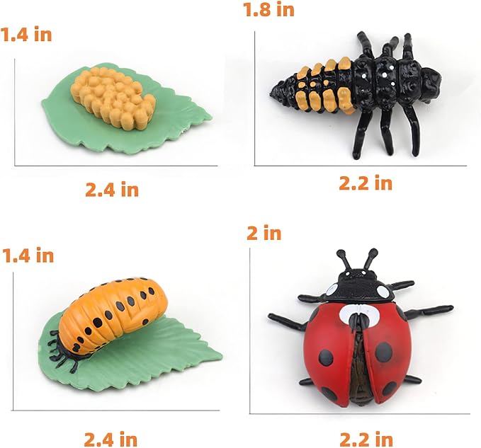 Montessori Life Cycle Animal Figures with Flash Cards, Realistic Animal Figurines Toy, Educational Matching Game for 3+ Year Old Kids (Ladybug)