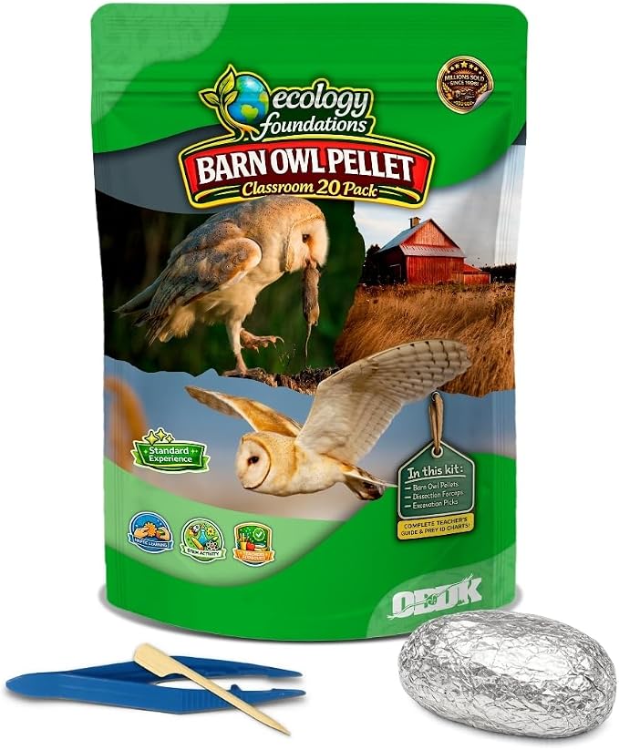 Barn Owl Pellets for Dissection for Classrooms, Medium 20-Pack Kit by OBDK | Forceps, picks and instructor guide included, life science and ecology, bone sorting chart, hands-on lab activity