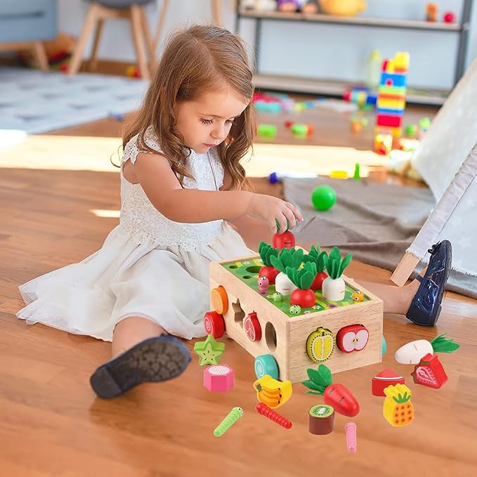 Toddlers Montessori Wooden Educational Toys for Boys Girls Age 1-3 Year Old | Shape Sorting Toys 1st One First Birthday Girl Gifts for Baby Kids 1 2 3, Wood Preschool Learning Fine Motor Skills Game