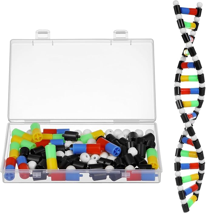 iplusmile DNA Model Kit Double Helix Structure, 3D Science Teaching Instrument for Biology Class, Genetics Learning Educational Toy for Students Kids Assembly Display