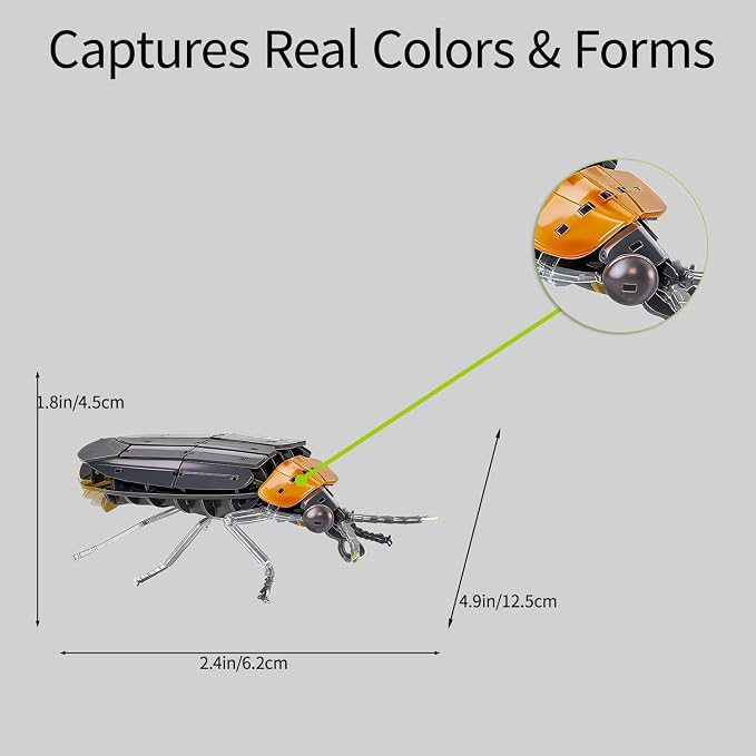 3D Acrylic Insect Puzzle DIY Bug Model Kit Animal STEM Gift | Building Kits Crafts Figurine Sculpture Nature Decoration Educational Display Toys for Kids Teens and Adults (Firefly)