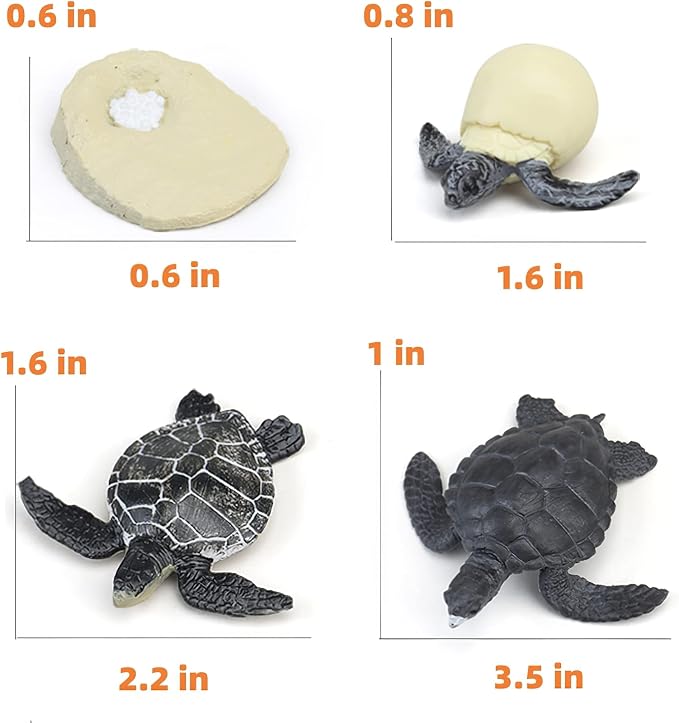 Montessori Life Cycle Animal Figures with Flash Cards, Realistic Animal Figurines Toy, Educational Matching Game for 3+ Year Old Kids (Turtle)
