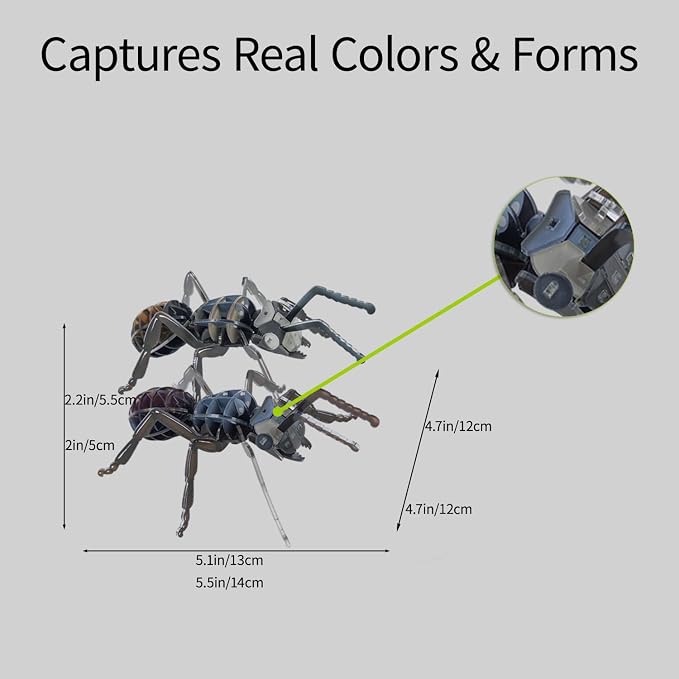 3D Acrylic Insect Puzzle DIY Bug Model Kit Animal STEM Gift | Building Kits Crafts Figurine Sculpture Nature Decoration Educational Display Toys for Kids Teens and Adults ( Ant)