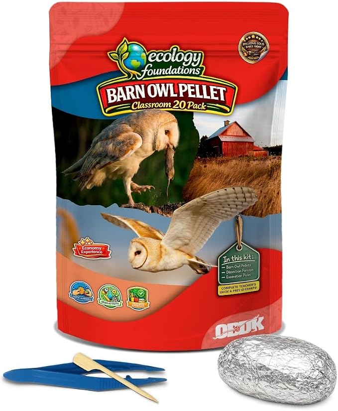 Barn Owl Pellets for Dissection for Classrooms, Small 20-Pack Kit by OBDK | Forceps, picks and instructor guide included, life science and ecology, bone sorting chart, hands-on lab activity