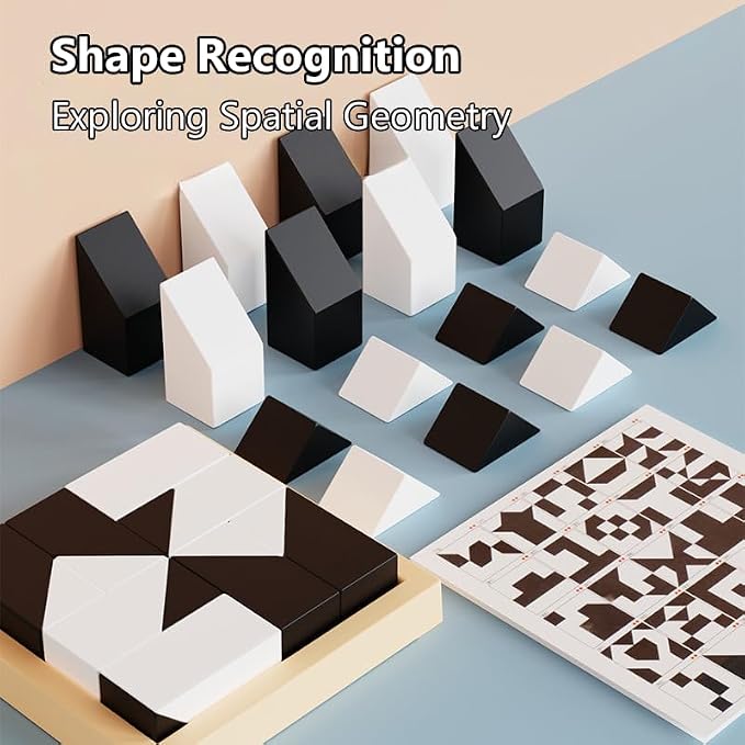 Hiding Blocks Brain Teaser Game for Kids & Adults, 365 Challenges 5 Difficulty Levels, Portable Design for Brain Training(Hiding Blocks)