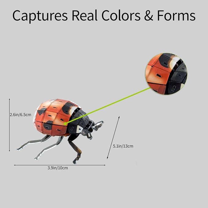 3D Acrylic Insect Puzzle DIY Bug Model Kit Animal STEM Gift | Building Kits Crafts Figurine Sculpture Nature Decoration Educational Display Toys for Kids Teens and Adults (Ladybug)