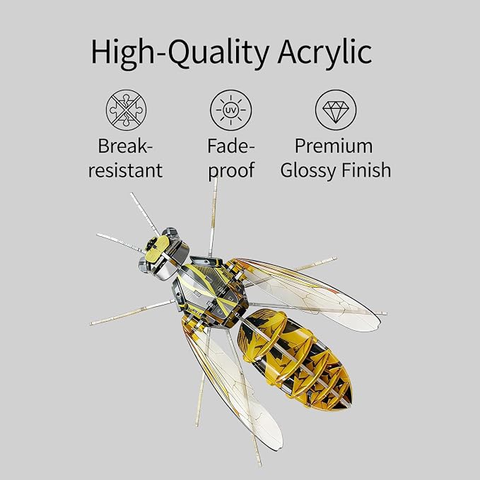 3D Acrylic Insect Puzzle DIY Bug Model Kit Animal STEM Gift | Building Kits Crafts Figurine Sculpture Nature Decoration Educational Display Toys for Kids Teens and Adults (Wasp)