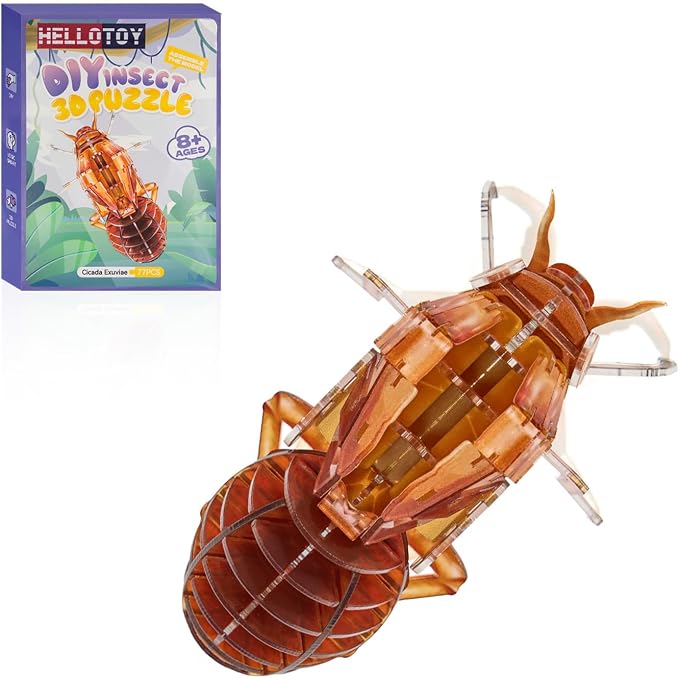 3D Acrylic Insect Puzzle DIY Bug Model Kit Animal STEM Gift | Building Kits Crafts Figurine Sculpture Nature Decoration Educational Display Toys for Kids Teens and Adults (Cicada Exuviae)