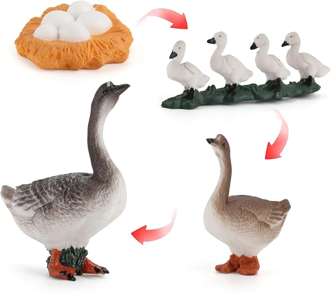 Montessori Life Cycle Animal Figurines Learning & Education Toys, Plastic Insect Life Cycle Toys, Preschool Learning Activities (Hen Goose Duck)