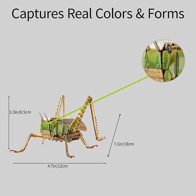 3D Acrylic Insect Puzzle DIY Bug Model Kit Animal STEM Gift | Building Kits Crafts Figurine Sculpture Nature Decoration Educational Display Toys for Kids Teens and Adults (Grasshopper)