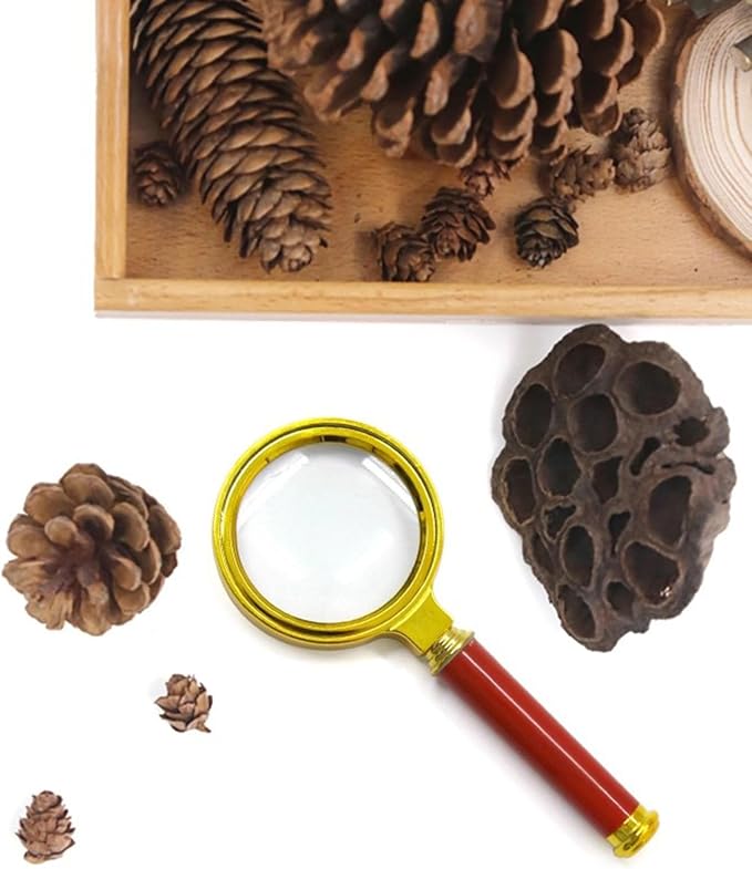 Montessori Nature Exploration Kit, Kids Outdoor Sensory Science Toy
