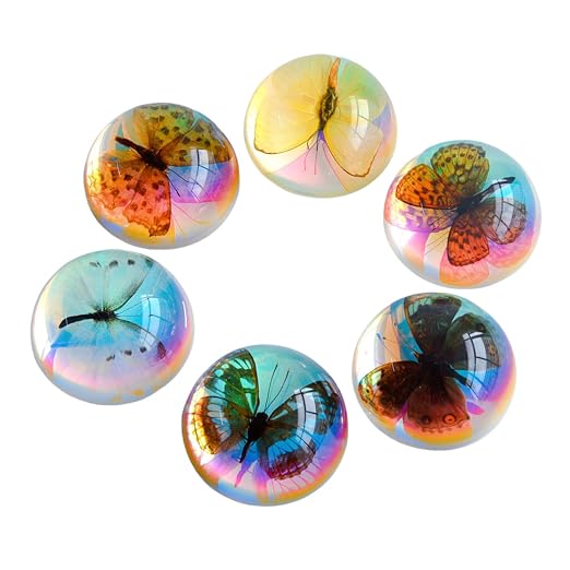 Real Butterfly Specimen in Resin,Insect Specimens for Education | Real resin butterfly & insect specimens. Great for education, biology study, insect lovers.