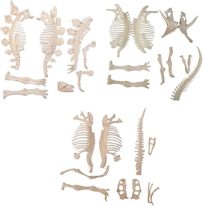 NUOLUX 3Pcs 4D Dinosaur Fossil Skeleton Toys DIY for Kids Fossil Skeleton Figure
